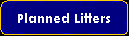 Planned Litters